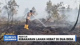 SUMSEL TODAY - MASSIVE LAND FIRE IN TWO VILLAGES