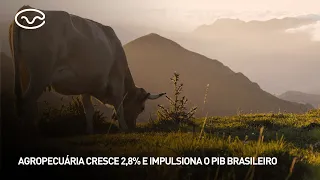 Agribusiness grows 2.8% and boosts Brazil's GDP