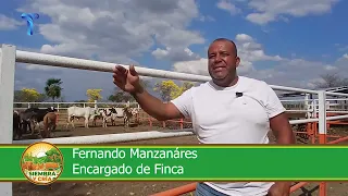 SOWING AND BREEDING - BARBACOAS
