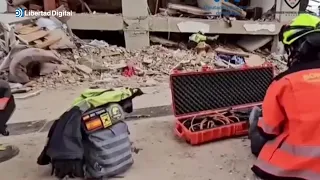 TERREMOTO VENEZUELA | Así fue el insólito rescate de un perro por los bomberos de Málaga