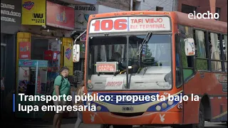 PUBLIC TRANSPORTATION: PROPOSAL UNDER THE BUSINESS MICROSCOPE