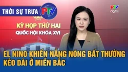 Phu Tho News Noon 10/29/2026 | El Nino causes prolonged unseasonal heat in the North