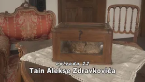 MOZAIK ĆILIMGRADA  - TAIN ALEKSE ZDRAVKOVIĆA