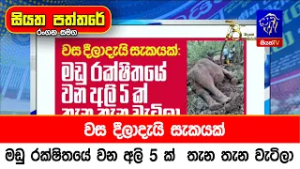 වස දීලාදැයි සැකයක්: මඩු රක්ෂිතයේ වන අලි 5 ක්  තැන තැන වැටිලා
