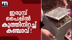 ഇരുമ്പ് പൈപ്പിൽ കുത്തിനിറച്ച് കഞ്ചാവ് ! മുറിച്ച് പുറത്തെടുത്ത് DANSAF | Kochi