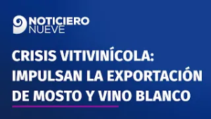 Crisis vitivinícola: en Mendoza impulsan la exportación de mosto y vino blanco
