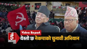 नेकपाको चुनावी रणनीति के ?