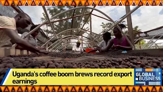 Uganda's coffee boom brews record export earnings