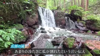 真夏でも水温12度　“瓜が割れるほど冷たい”若狭町「瓜割の滝」　大地の恵みが育んだ澄んだ水の音と森の香りを感じる小旅