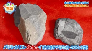 Catch-up Stream【Look For! Miyagi】 Revitalizing Minamisanriku: The Man Behind Fossil Excavation an...