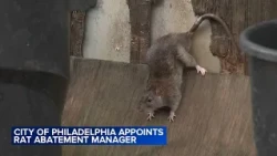 Philadelphia appoints manager to tackle city's rat problems