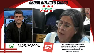 TERE CUBELLS - CHACO PROVINCIAL DEPUTY - FRENTE GRANDE / P.J. - Endorsement of International Fema...