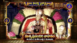 PROMO || MUTYAPU PANDIRI VAHANAM || SRIVARI SALAKATLA BRAHMOTSAVAMS -2026 || SVBC TTD