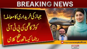 Aircraft Purchase Issue Sparks Heated Argument Between Kausar Kazmi and PTI Leader | Pakistan News