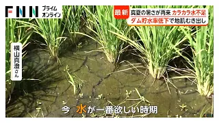 “カラカラ水不足”耶馬溪ダムの貯水率低下　「水が一番ほしい時期」コメ農家を直撃　上野では「パンダ舎」に別れ（2026年08月19日）