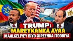 MAREYKANKA OO SHEEGTAY INUU DHISAY BIYO XIREENKA ITOOBIYA