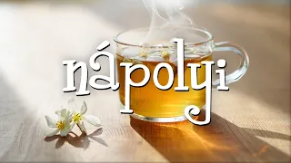Készüljünk fel együtt az őszre - tippek, praktikák, jó tanácsok (Nápolyi/2026.09.26/2.rész)