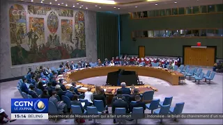 Russia-Ukraine conflict: UN Security Council holds a public meeting on Ukraine