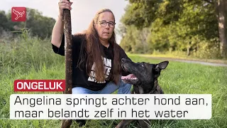 Liefde voor honden wordt Almeerse bijna fataal: 'Wat overkomt me?'