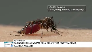 Τα κουνούπια διαλέγουν αυτούς που τσιμπούν...!