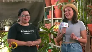 JARDINERIA AL DIA Vivero 93