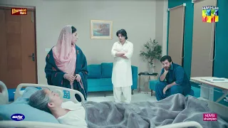 Kya Such Mein Tumhari Sherbano Se Larai Hui Thi..? #sajjalali #saharhashmi - Ishq Diaires