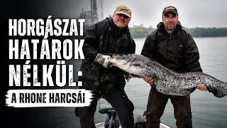 Horgászat Határok Nélkül – A Rhone harcsái