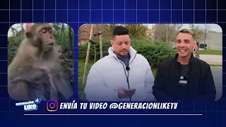 GENERACION LIKE BLOQUE 01 20/06