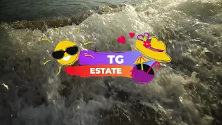 TG Estate del 02/08/2026