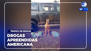 ON AIR - Nearly two thousand portions of drugs seized in wooded area in Americana