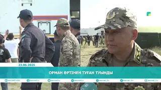 Орман өртінен туған туынды