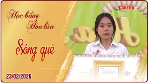 Sông quê | Học bổng Hoa lúa 23/02/2026| Cần Thơ