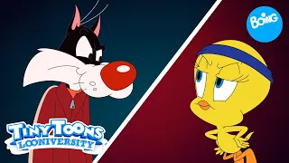 Tiny Toons: Looniversidad | Una rivalidad de dibujos animados | Boing