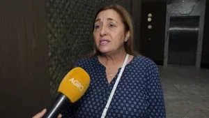 Новина плюс: Семепроизводството на фокус