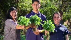 Programa Tierra Fértil de Walmart beneficia a productores agrícolas salvadoreños