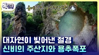 주산지의 신비와 용추폭포의 웅장함✨ 유네스코 세계지질공원 청송 클래스