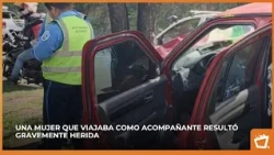 Driver dies in traffic accident on Suburbana highway
