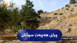 چیای هەیبەت سوڵتان لە ڕوانگەی جوگرافیا و مێژووەوە