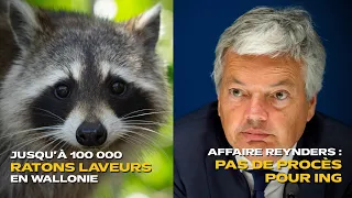 Liège province weekly: motorcycle accidents, misused public money, and the Reynders affair