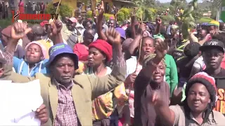 Kirinyaga farmers complain about low tea bonus payments compared to last year