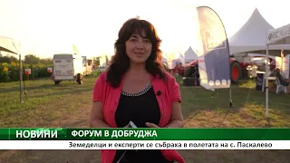 ФОРУМ В ДОБРУДЖА: Земеделци и експерти се събраха в полетата на с. Паскалево