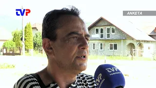 Zbierate bylinky?