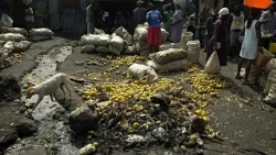 6 million in Haiti face severe hunger amid violence, displacement and El Niño