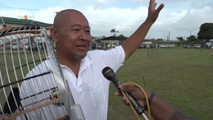 Stichting Picofriends organiseert  zangvogelwedstrijden competities