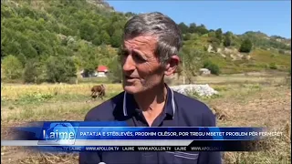 Patatja e Stëblevës, prodhim cilësor, por tregu mbetet problem për fermerët.