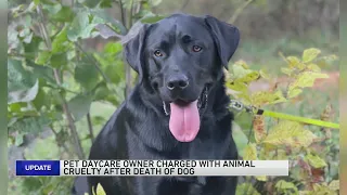 ‘They forgot him’: Suburban doggy day care owner charged after dog dies in van