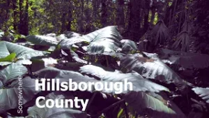 #FindHillsborough - Firn Acres Area