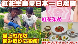 Experience Safflower Picking and Dyeing in Shirataka, Japan’s Top Safflower Producer—Plus a Delec...