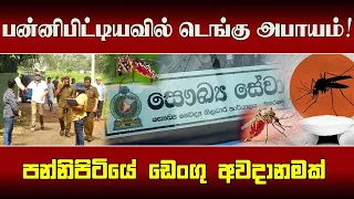 பன்னிபிட்டியவில் டெங்கு அபாயம்! கொசுப் புழுக்கள் கண்டெடுப்பு!