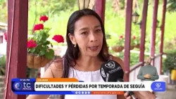 Coffee Harvest Program progresses in Caldas amid losses from high temperatures and drought